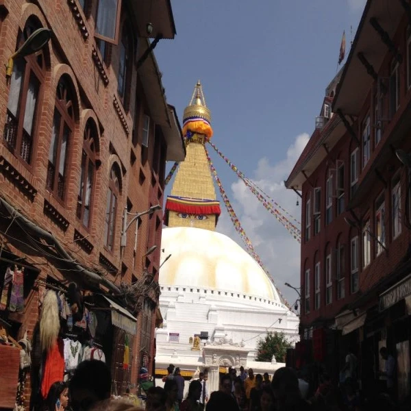 Day Tours and Sightseeing