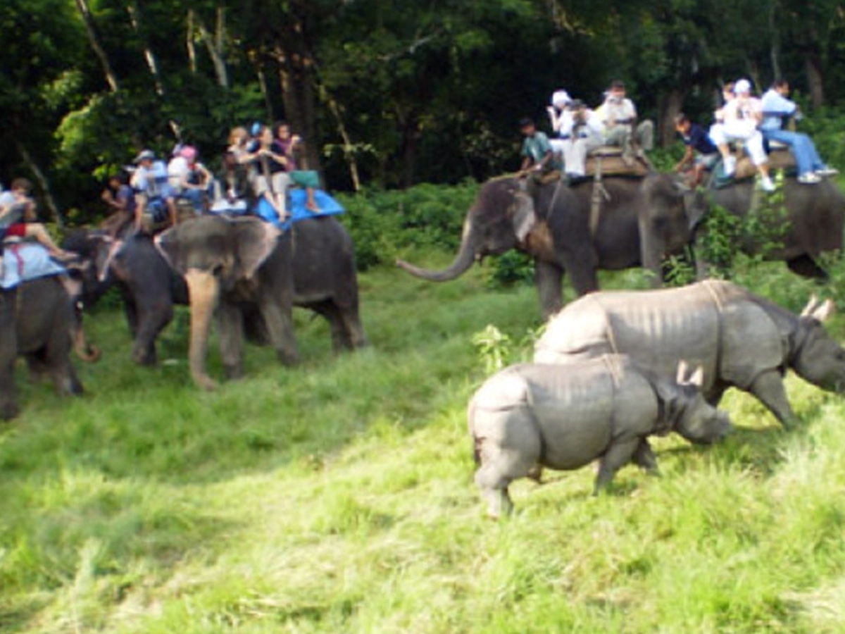 Buddhist Pilgrimage Circuit Tour - 8 Days