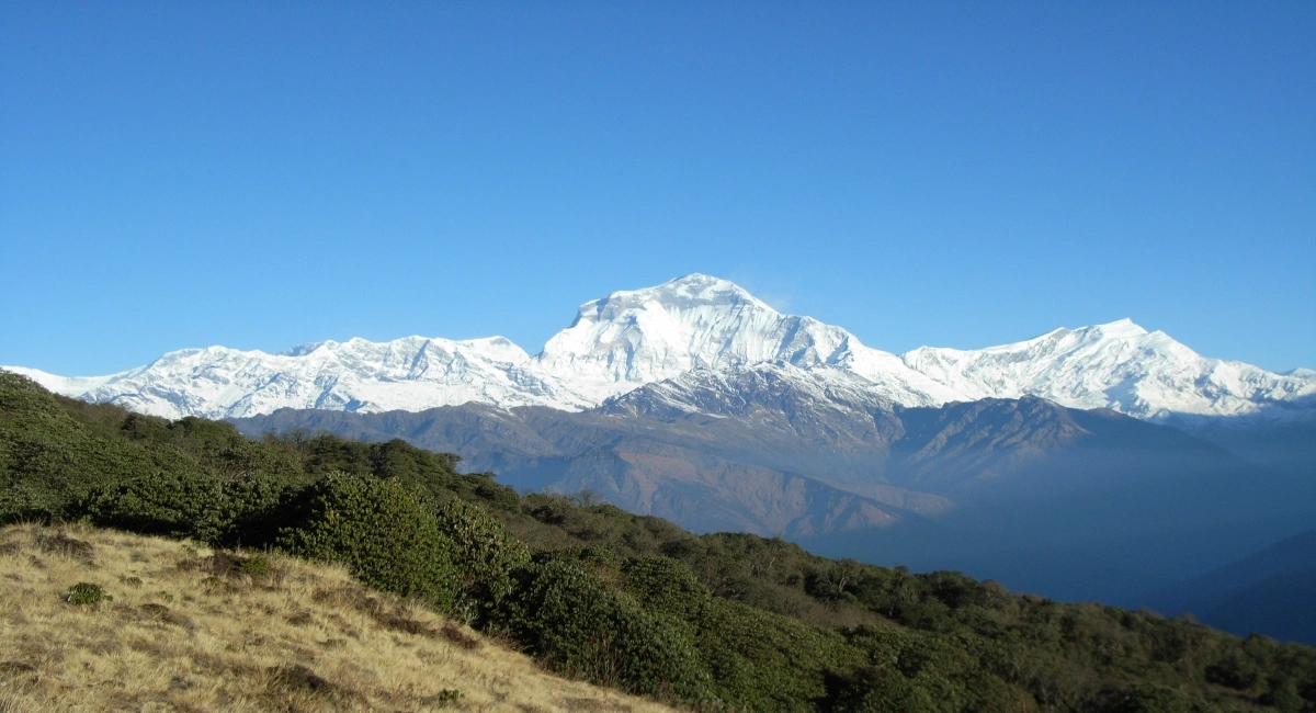 Mt. Dhaulagiri