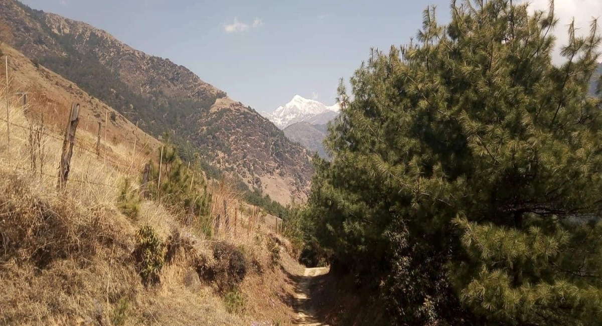 Pikey Trek - 13 Days