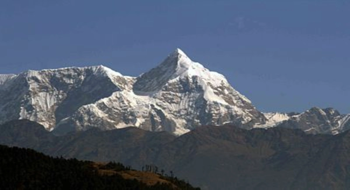 Number Cheese Circuit Trek