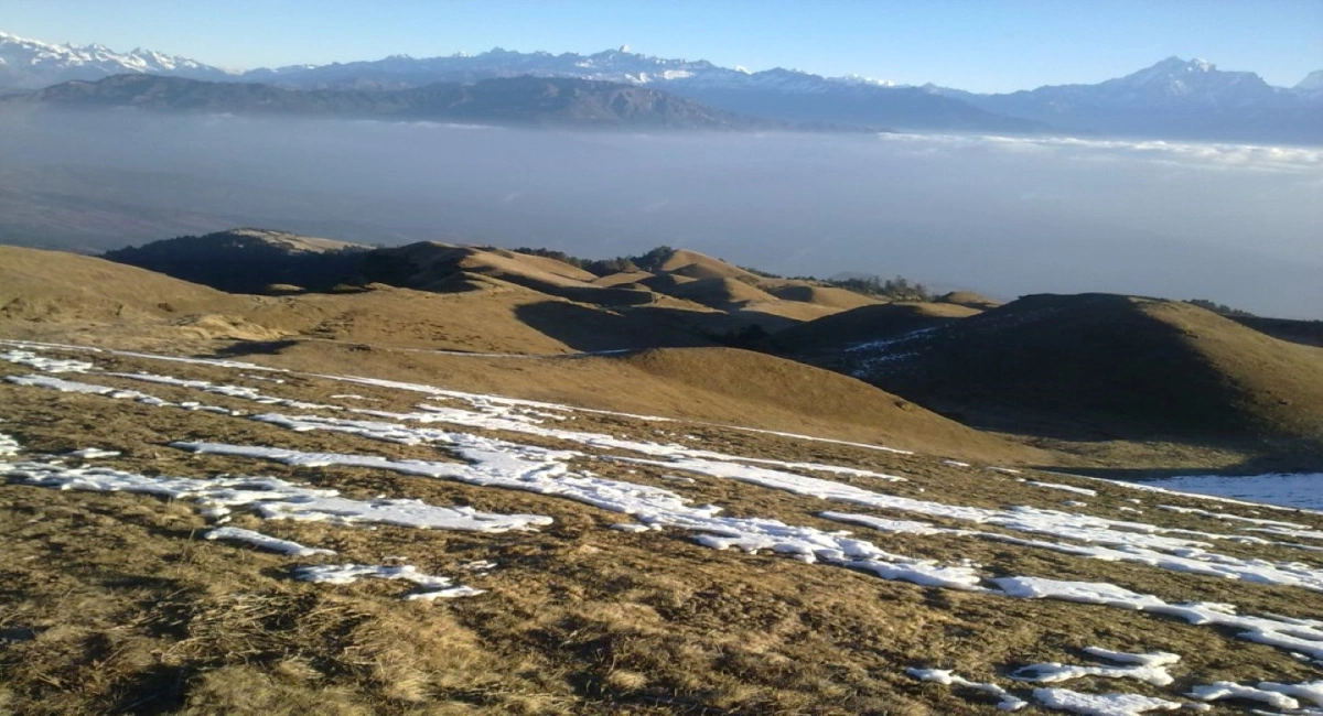 Number Cheese Circuit Trekking