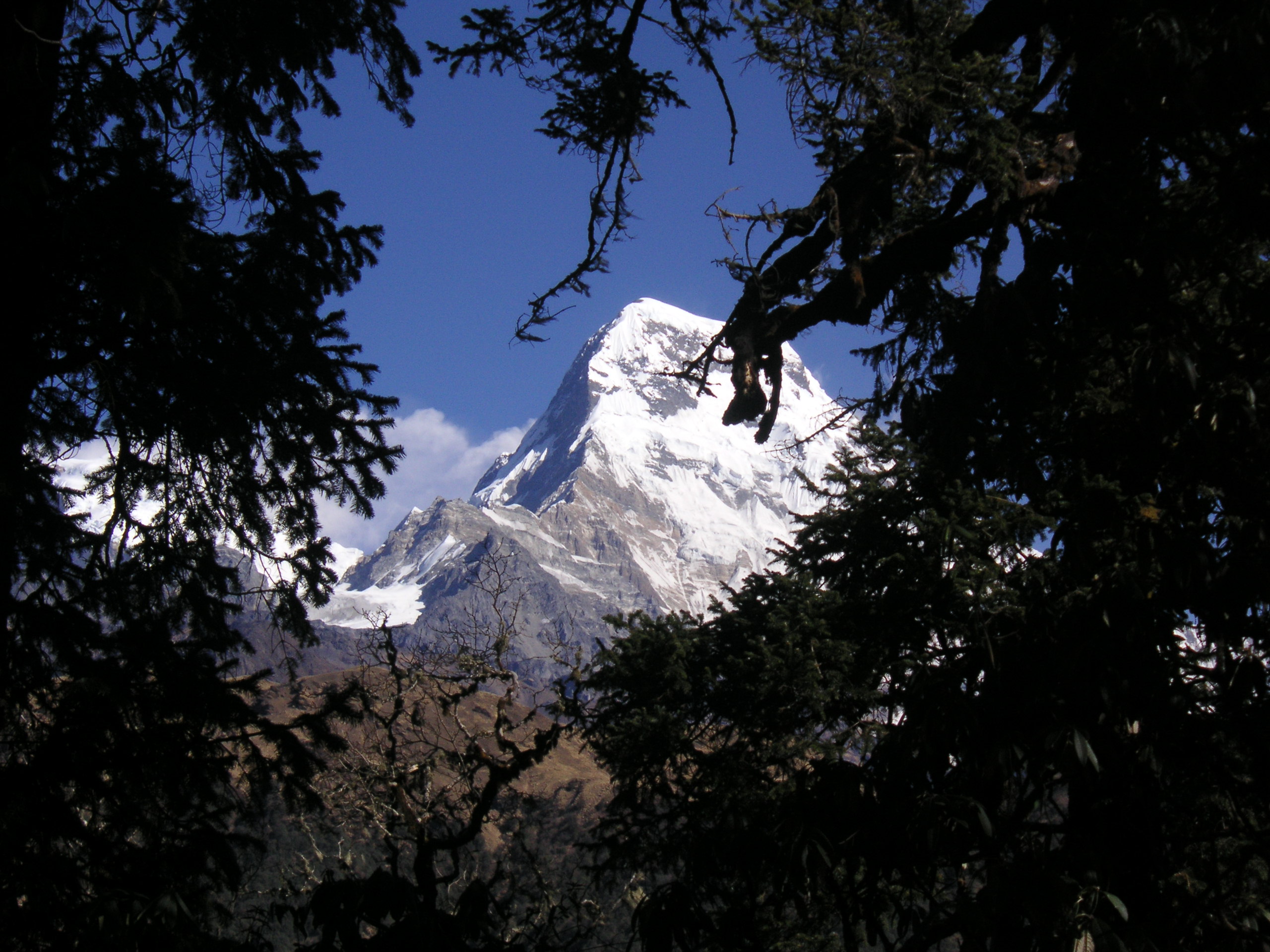 Ghorepani Poonhill Trek