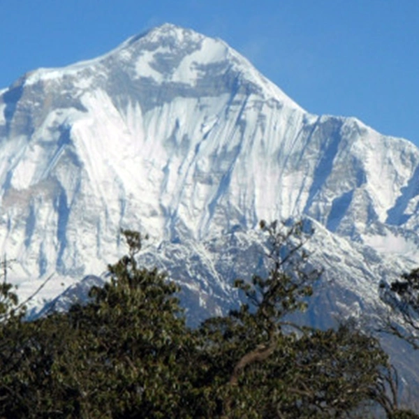 Dhaulagiri Circuit and Base Camp Trek - 25 Days