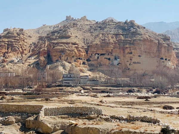 Gelling To Dhakmar Mustang