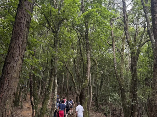 Hikers On The Jamacho Forest Trail