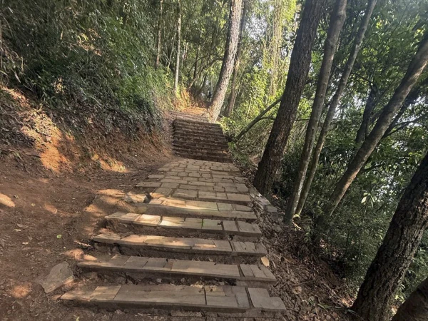 Jamacho Hike Forest Stairs