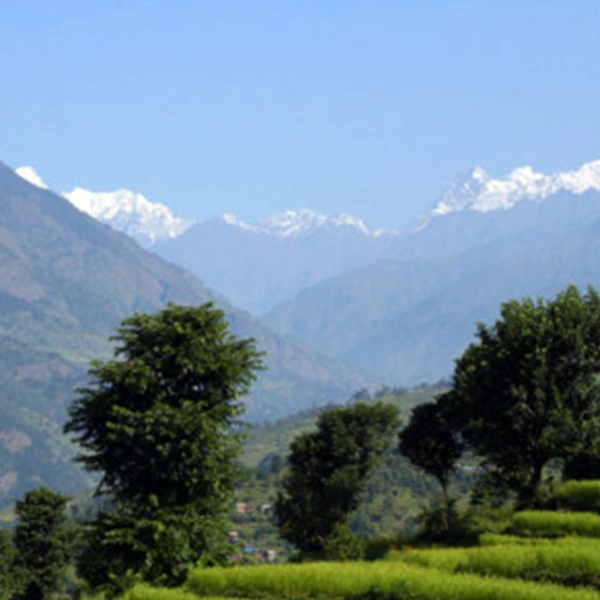 Ganesh Himal Base Camp Trek with Singla Pass - 21 Days