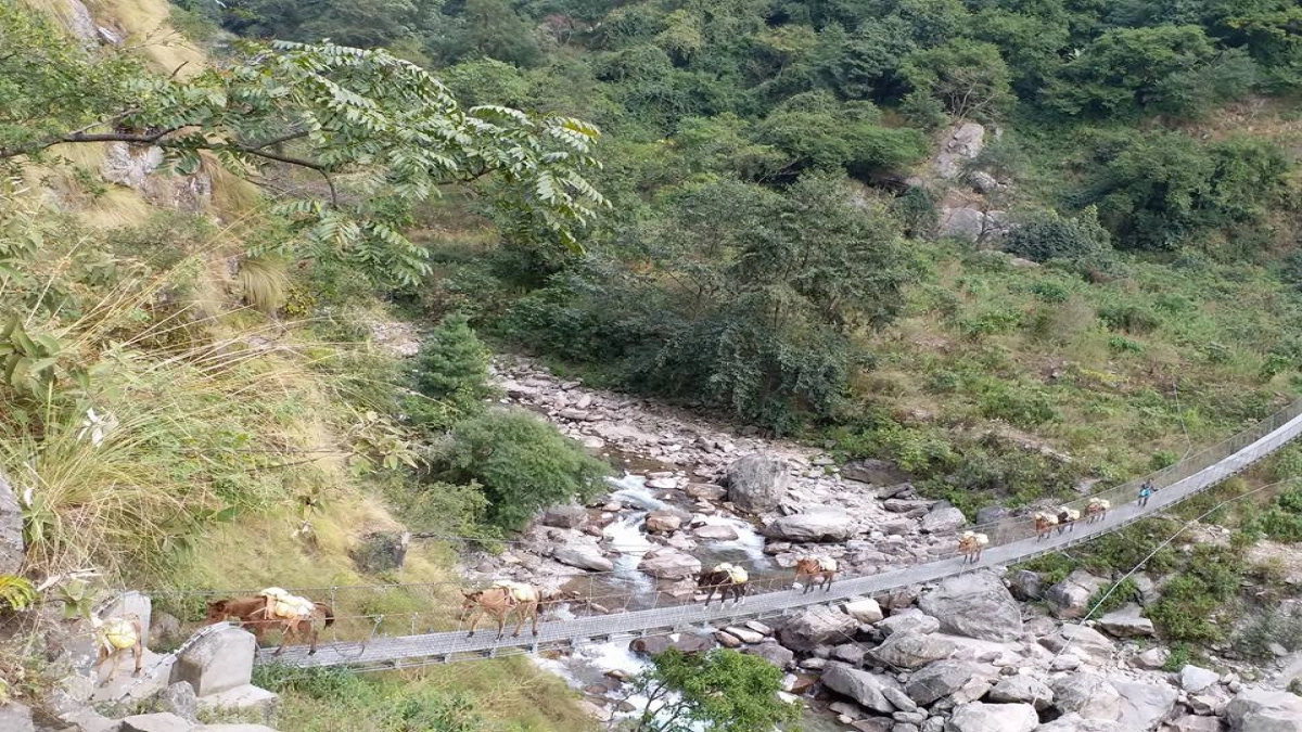 suspension-bridge-with-horse