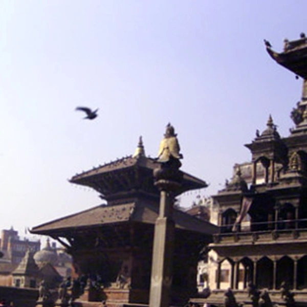 Special Nature Tour - 10 Days