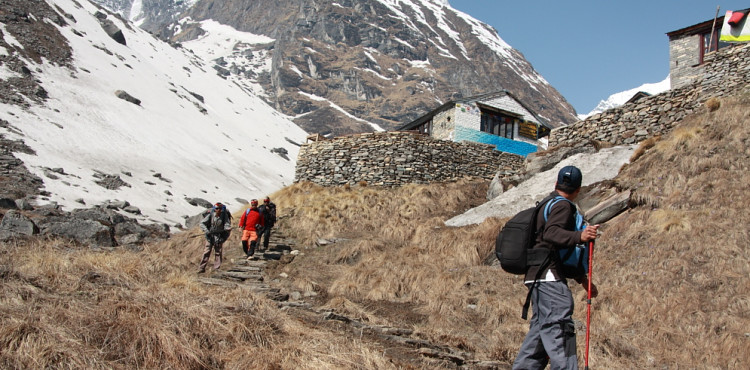 Annapurna Region Trekking & Walking